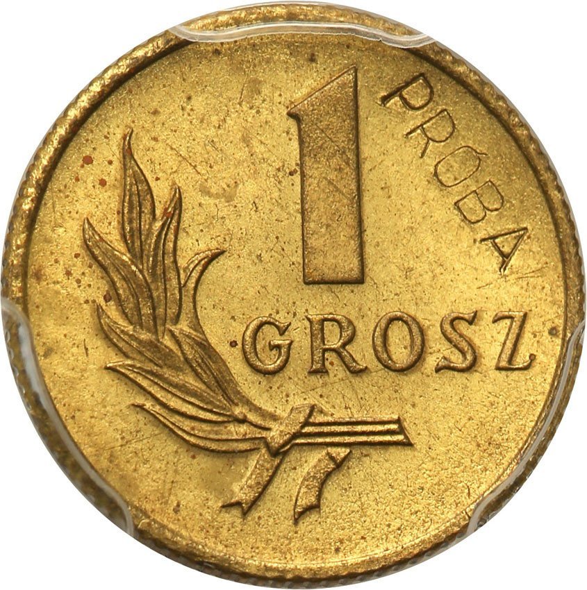 PRL. PRÓBA mosiądz 1 grosz 1949 PCGS SP63